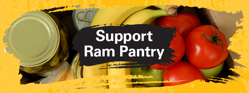 Support Ram Pantry